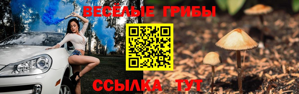купить   Галлюциногенные грибы прущие грибы  Вход с VPN  Дербент 